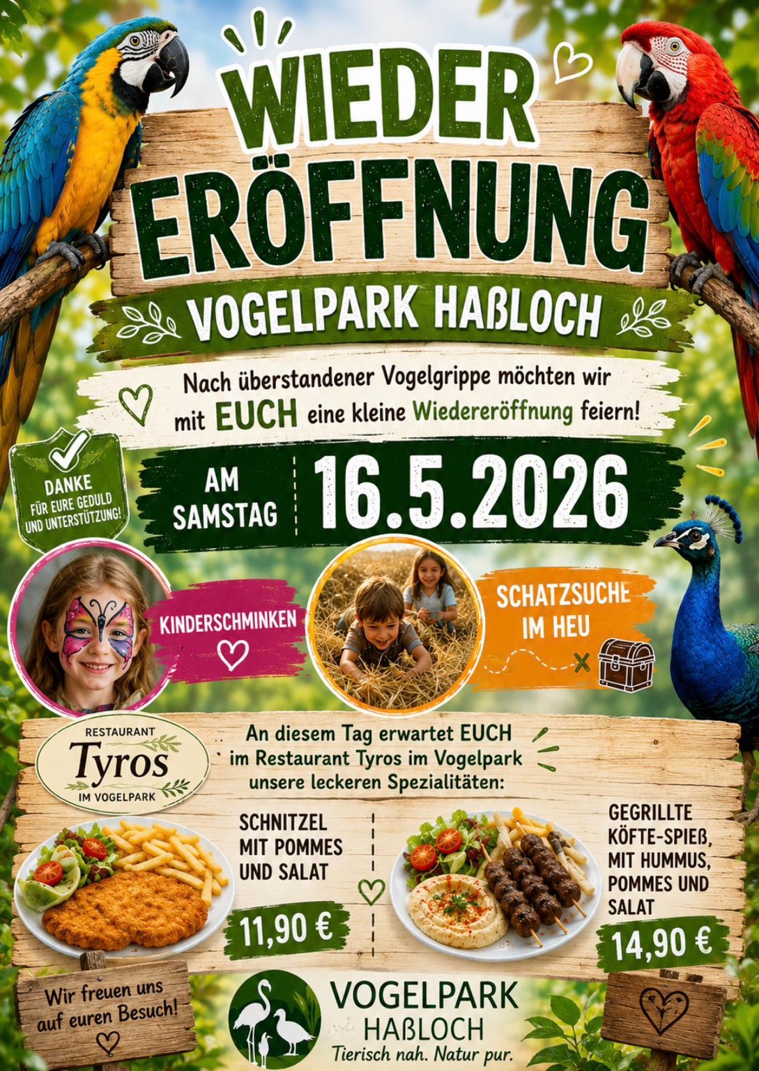 Buntes Werbeplakat zur Wiedereröffnung des Vogelparks Haßloch am Samstag, den 16.05.2026 ab 10 Uhr. Zu sehen sind zwei große Papageien, ein Pfau, Hinweise auf Kinderschminken und Schatzsuche im Heu sowie Essensangebote vom Restaurant Tyros mit Schnitzel und Köfte-Spießen. Das Plakat bedankt sich außerdem für Geduld und Unterstützung während der Zeit der Vogelgrippe.